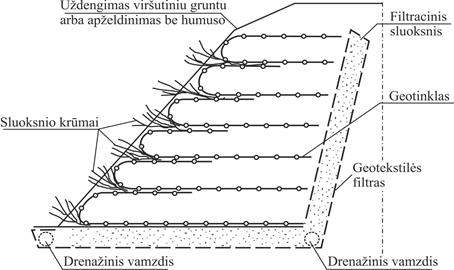 Gluosnių žemesnės klasifikacija